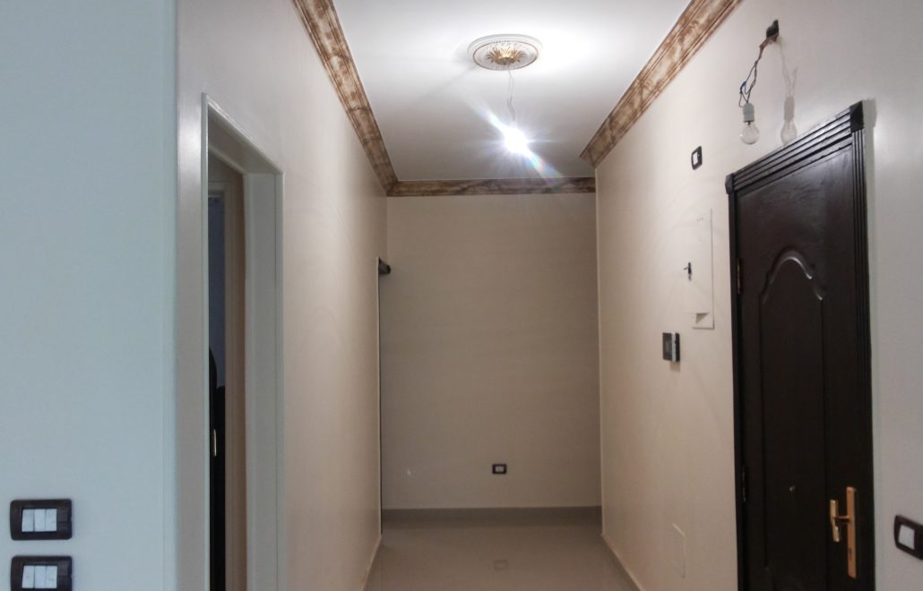 معرض الصور