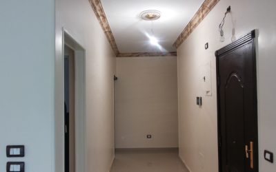 معرض الصور