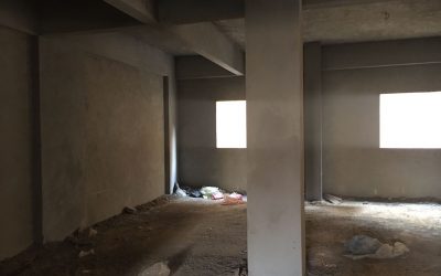 معرض الصور