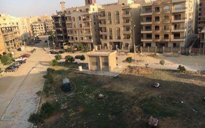 معرض الصور