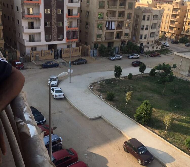 معرض الصور