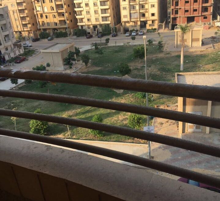 معرض الصور