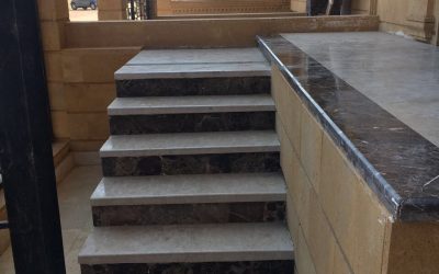 معرض الصور