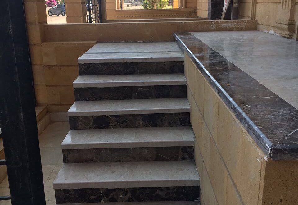 معرض الصور