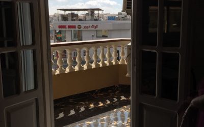 معرض الصور