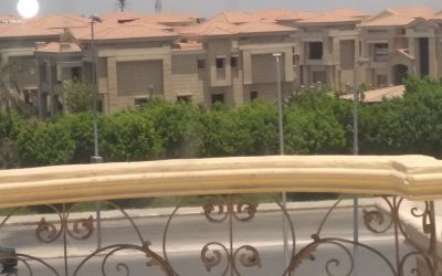 معرض الصور