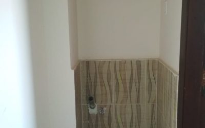 معرض الصور