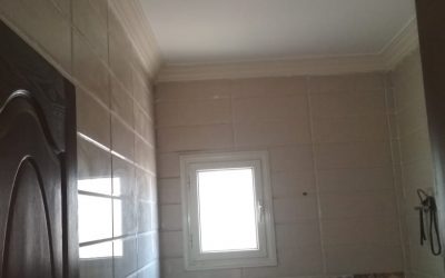 معرض الصور