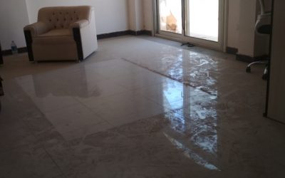 معرض الصور