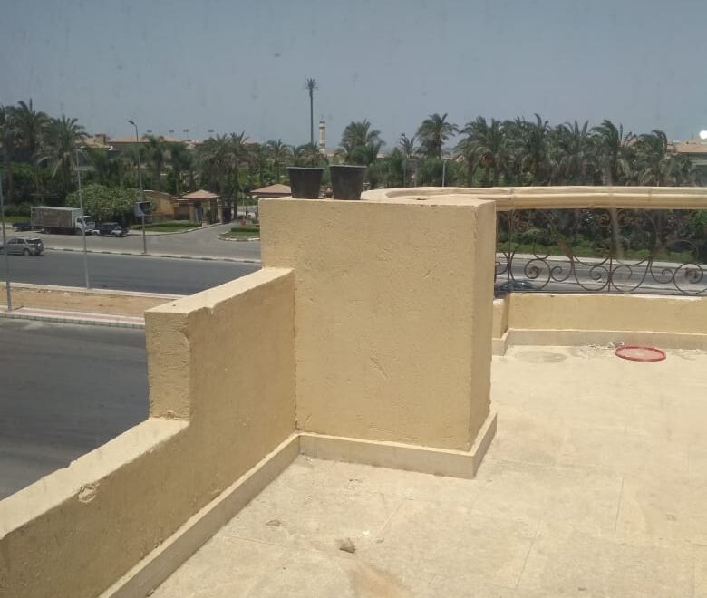 معرض الصور