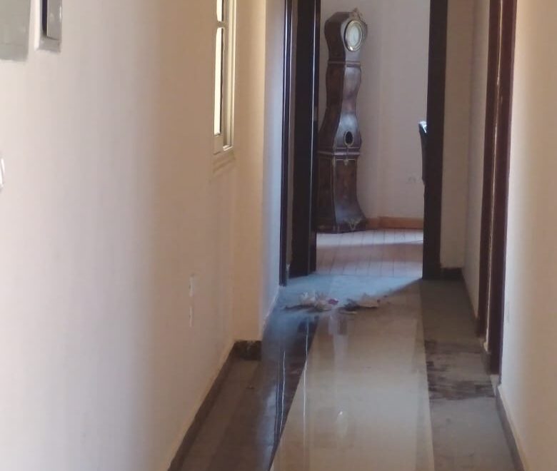 معرض الصور