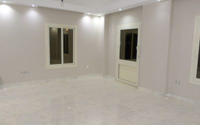 معرض الصور