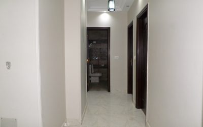 معرض الصور