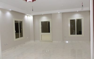 معرض الصور