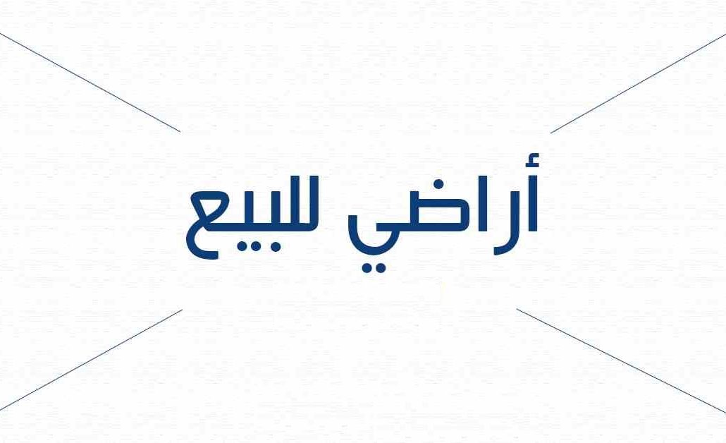 معرض الصور