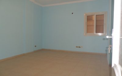 معرض الصور