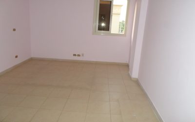 معرض الصور