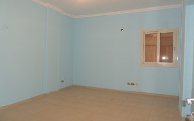 معرض الصور